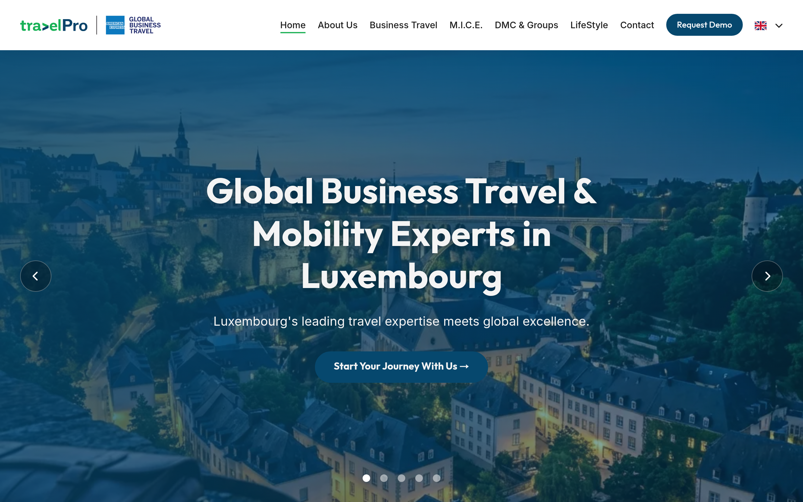 Travel Pro Website Preview